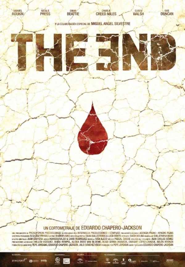The End Poster 5