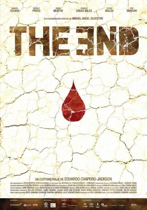 The End Poster 4