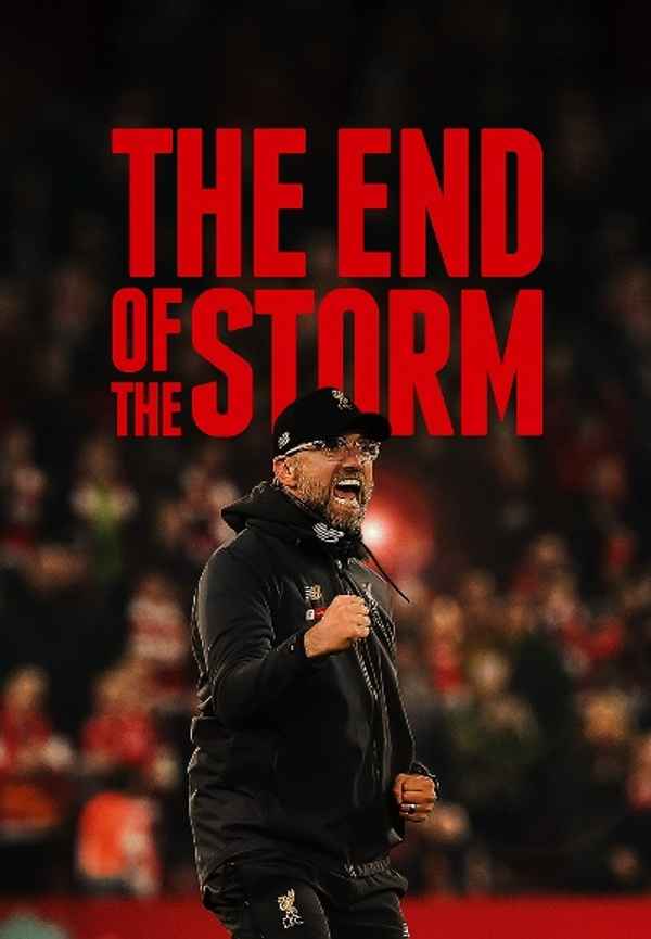 The End of the Storm Poster 6
