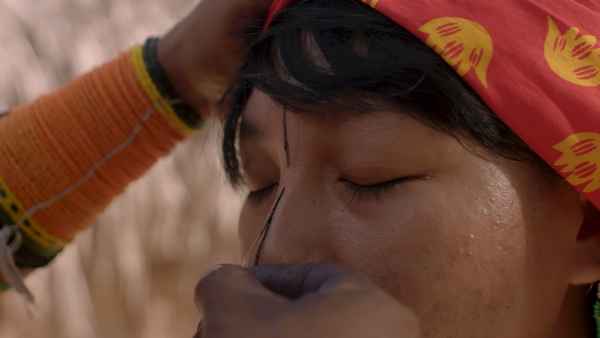 The Endangered Generation? Poster 1