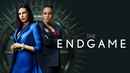 The Endgame Poster 1