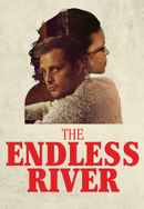 The Endless River Poster 6