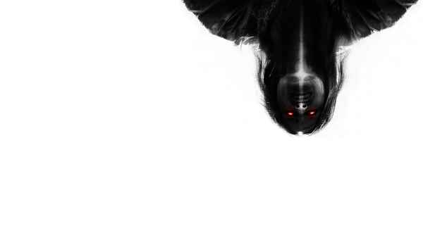 The Exorcists Poster 2