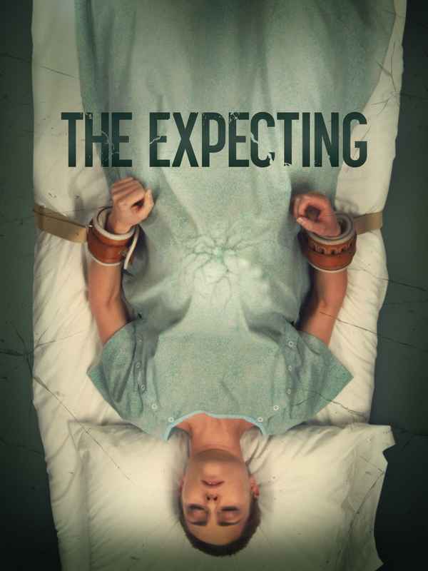 The Expecting Poster 1
