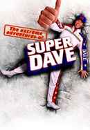 The Extreme Adventures of Super Dave Poster 6