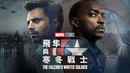 The Falcon and The Winter Soldier Poster 6