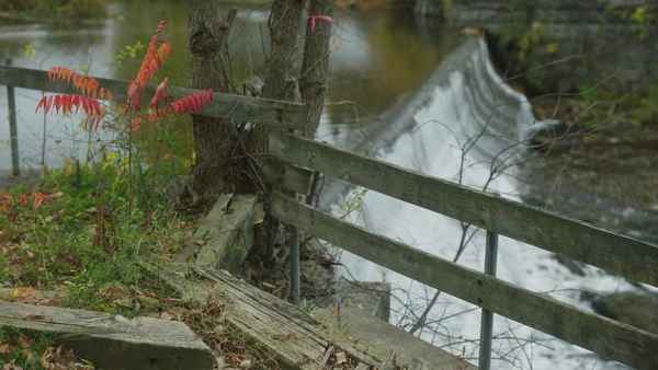 The Falling World Poster 3