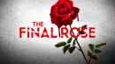 The Final Rose Poster 5