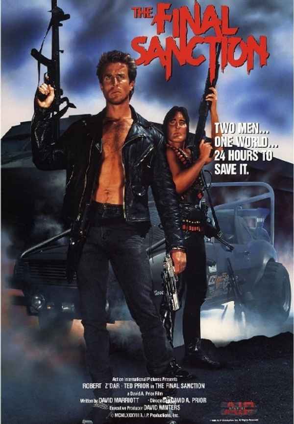 The Final Sanction Poster 6