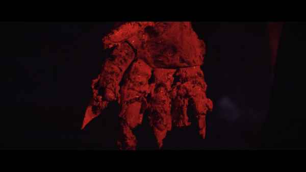 The Five Fingers of a Dog Poster 5