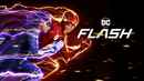 The Flash Poster 5
