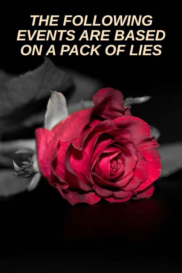 The Following Events are Based on a Pack of Lies Poster 6