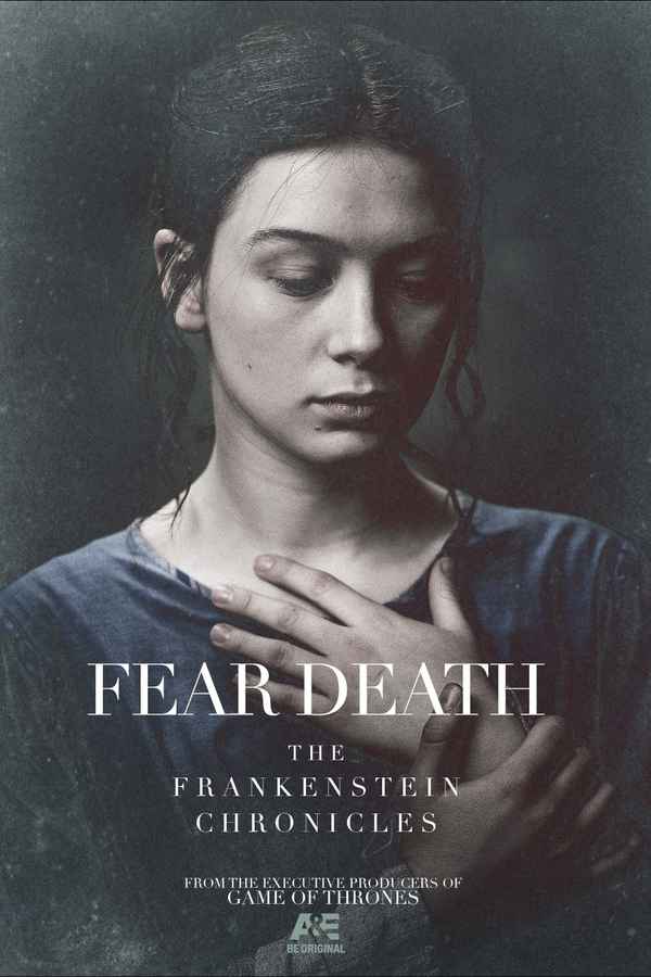 The Frankenstein Chronicles Poster 5