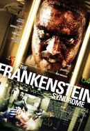 The Frankenstein Syndrome Poster 4