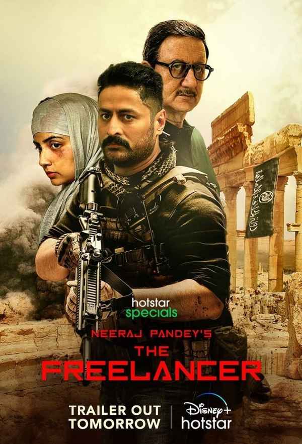 The Freelancer Poster 5