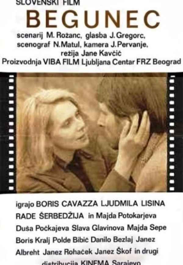 The Fugitive Poster 2