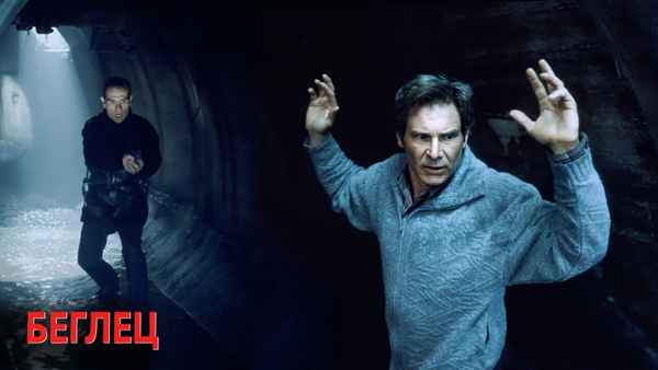 The Fugitive Poster 1