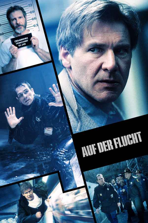 The Fugitive Poster 3