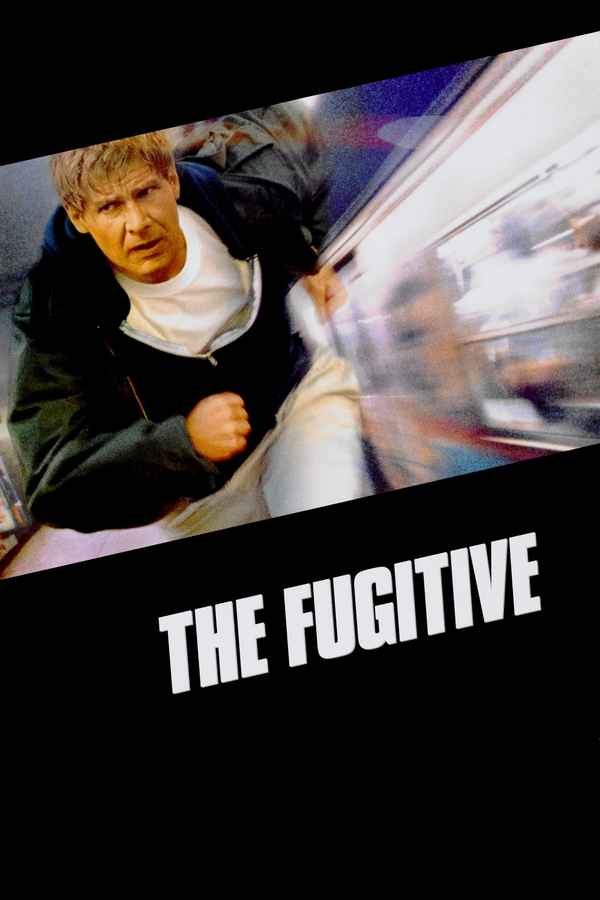 The Fugitive Poster 5