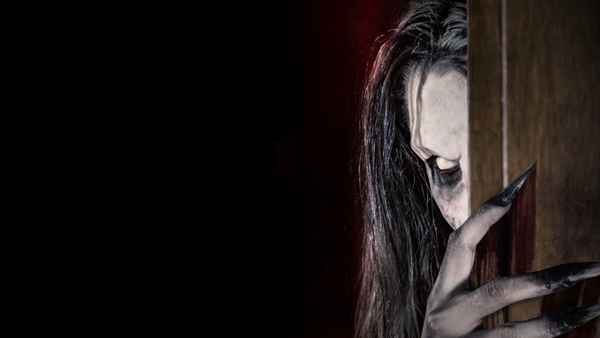 The Ghost Within Poster 2