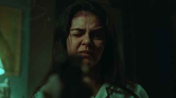 The Girl and the Gun Poster 1