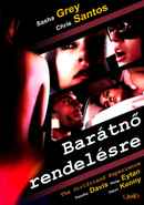 The Girlfriend Experience Poster 4