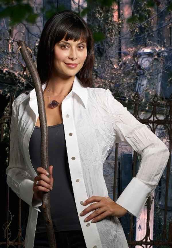 The Good Witch Poster 7