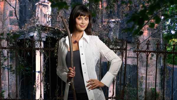 The Good Witch Poster 5