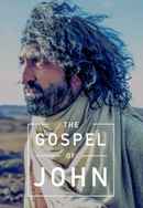 The Gospel of John Poster 3