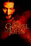 The Gospel of John Poster 1