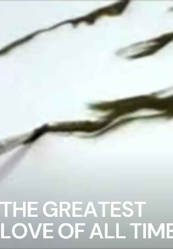 The Greatest Love of All Time Poster 6