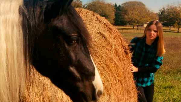 The Greening of Whitney Brown Poster 2