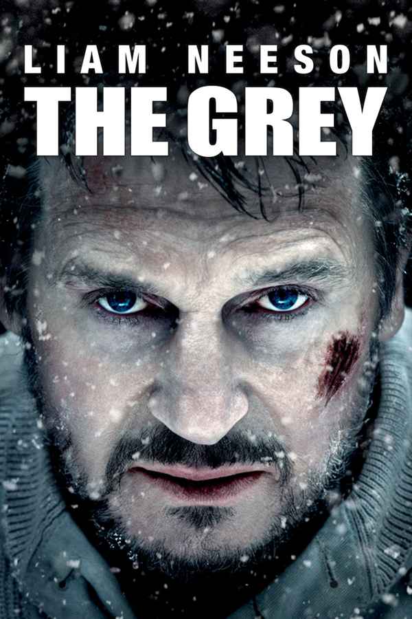 The Grey Poster 1