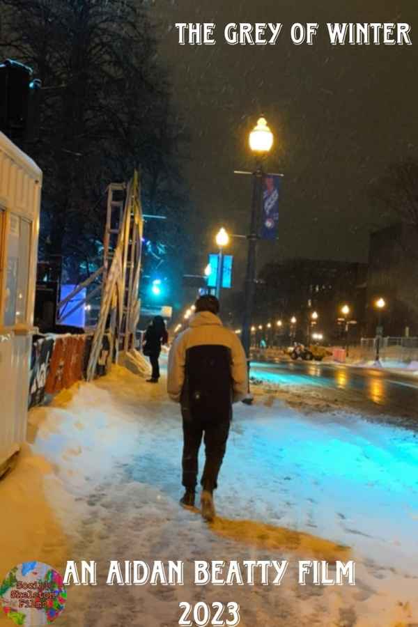 The Grey Of Winter Poster 1