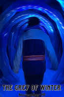 The Grey Of Winter Poster 2