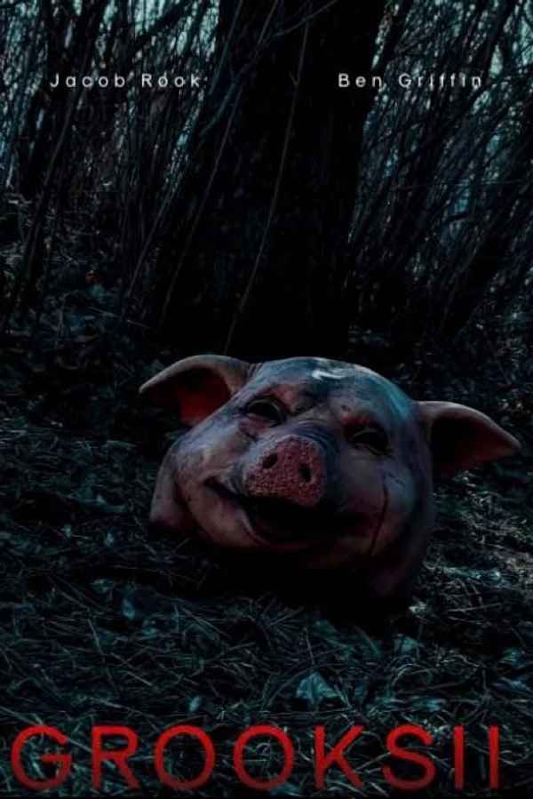 The Grooks II Poster 6