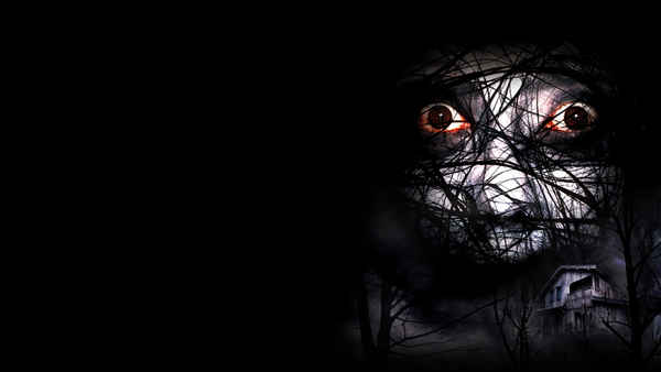 The Grudge 2 Poster 6