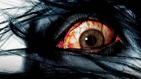 The Grudge 3 Poster 3