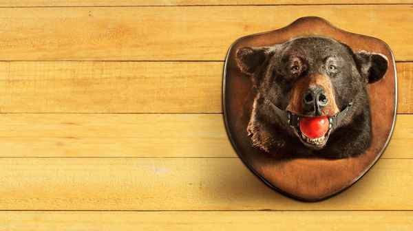 The Guest Book Poster 5