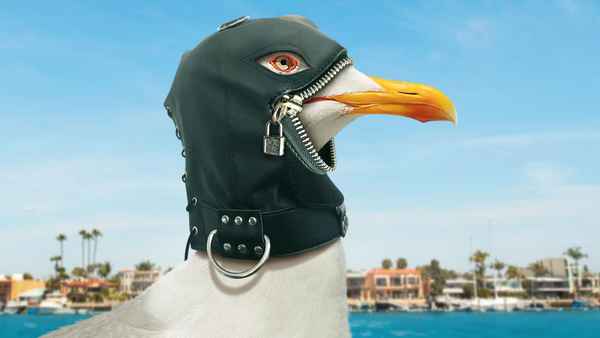 The Guest Book Poster 4