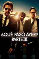 The Hangover - Part III Poster 4