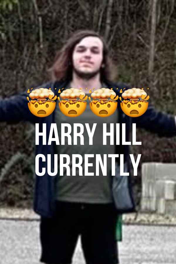 The Harry Hill Movie Poster 4