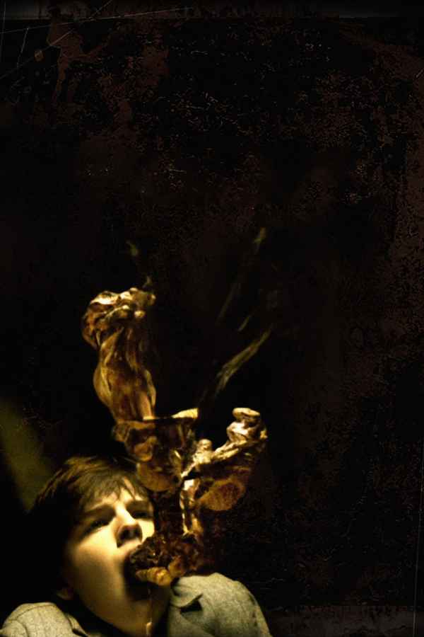 The Haunting in Connecticut Poster 6