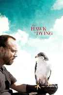 The Hawk Is Dying Poster 1