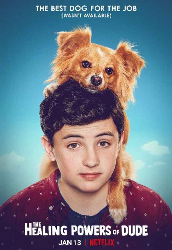 The Healing Powers of Dude Poster 6
