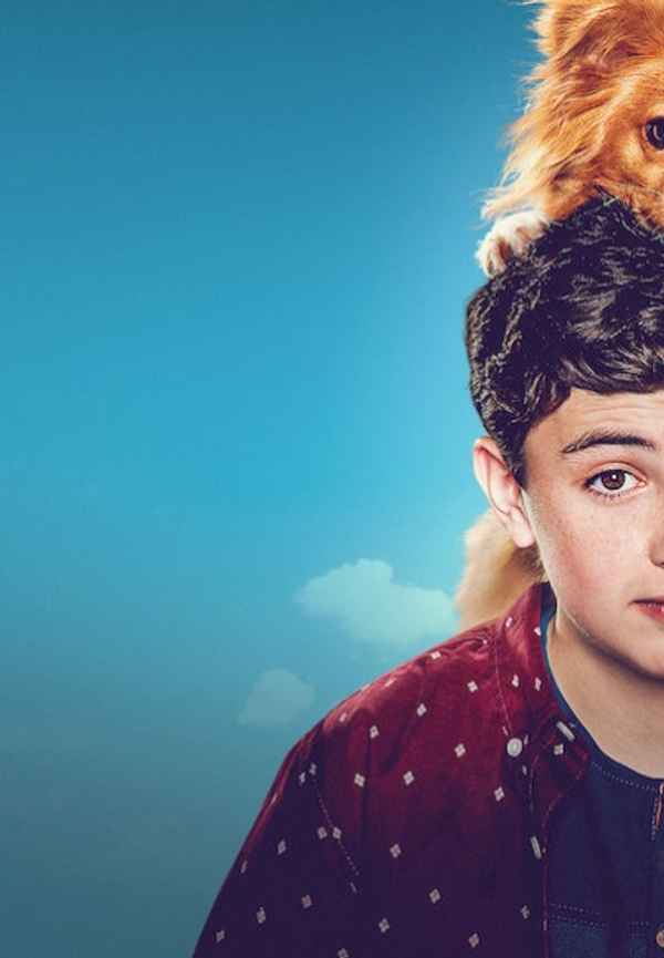 The Healing Powers of Dude Poster 5