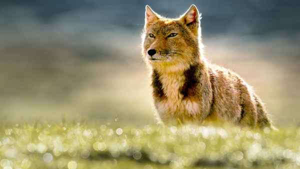 The Hidden Kingdoms of China Poster 3