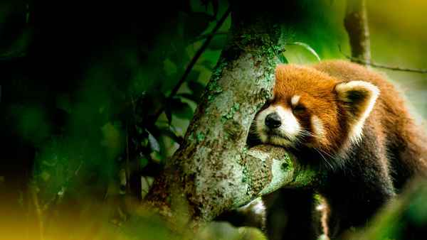 The Hidden Kingdoms of China Poster 4