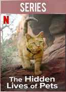 The Hidden Lives of Pets Poster 6