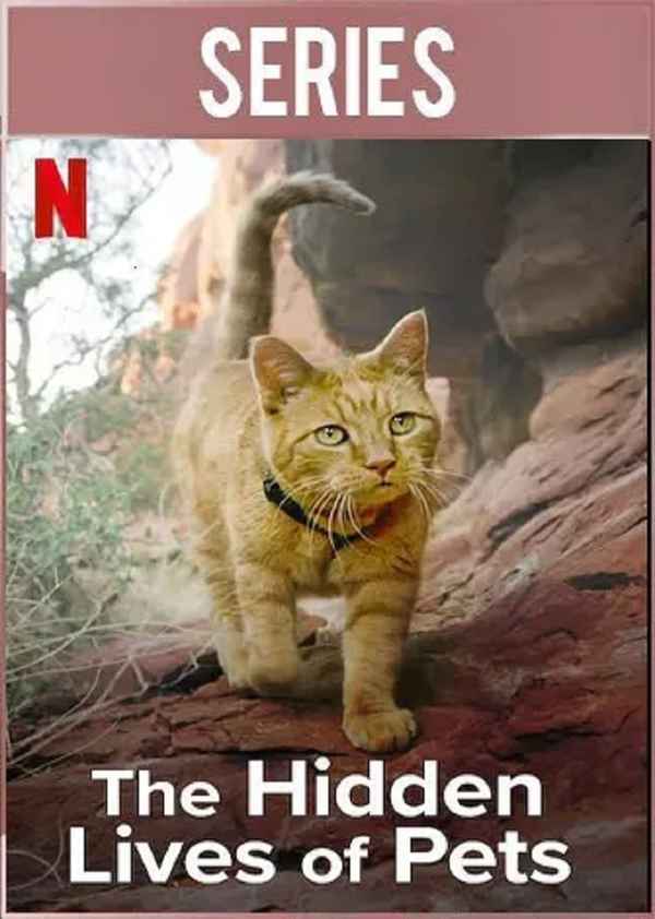 The Hidden Lives of Pets Poster 6